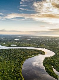 floresta-amazonia