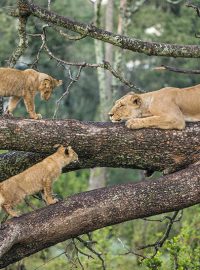 lake-manyara-3