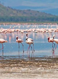 lake-manyara