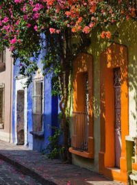 mexico-2026-loara-aydos-07